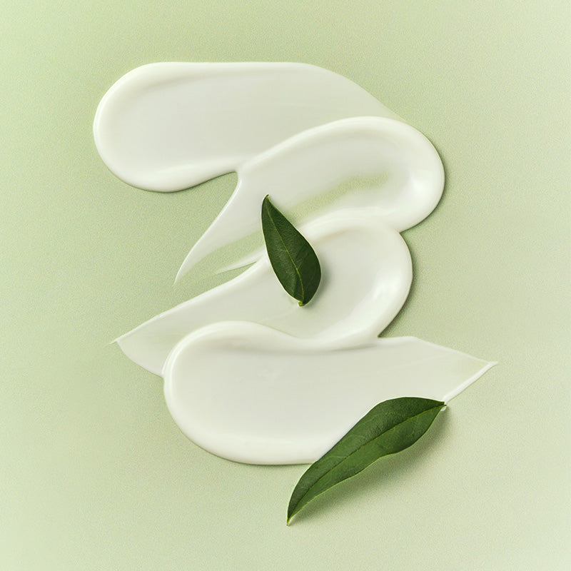 Black Bamboo Top to Toe SPF Veil