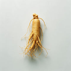 Ginseng