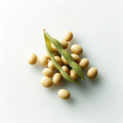 Soybean